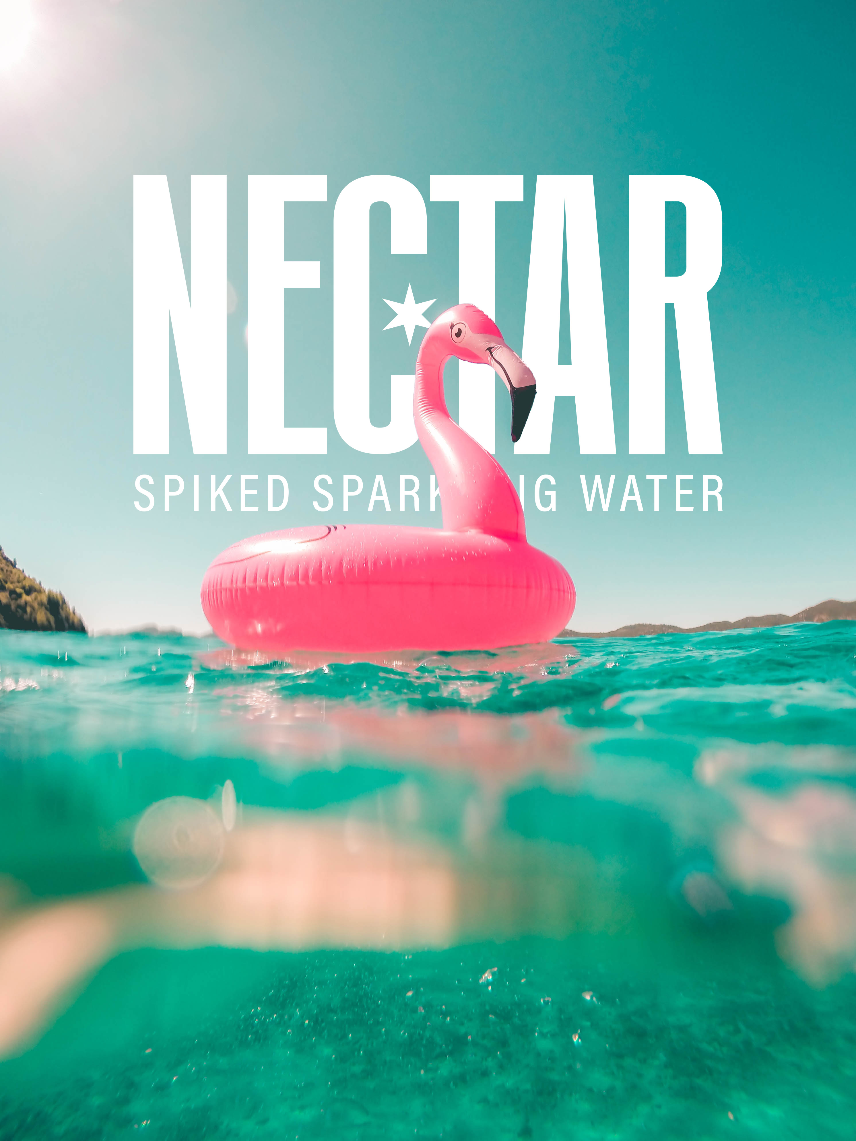 Nectar advertisment showing nectar logo above floating flamingo pool floatie in water.